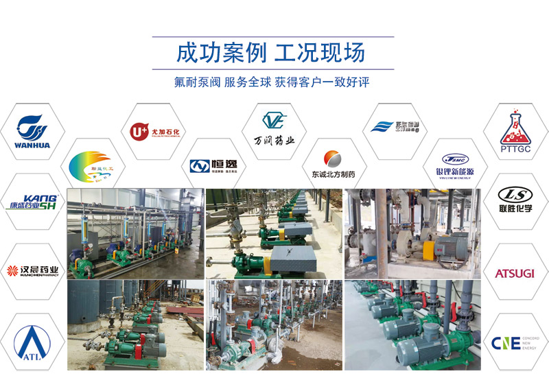 IMD-FT 型耐顆粒、抗干磨氟塑料磁力泵(圖9) 9.jpg